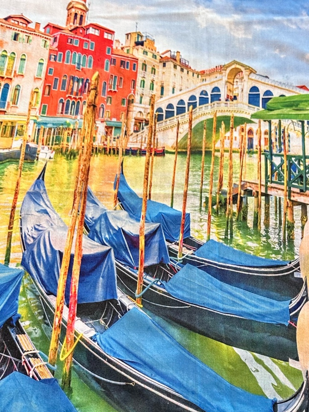 Reversible Venice Italy Scenic Fringe Oversized Scarf NWT Raw Hem 24x72 Art Wear - Picture 16 of 16